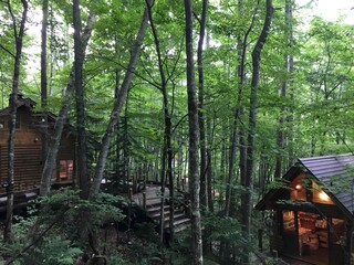 森の中のログハウス