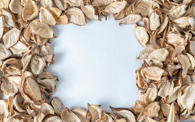 Frame made of dried leaves on white background. Fall concept. Flat lay, top view, copy space, square. 