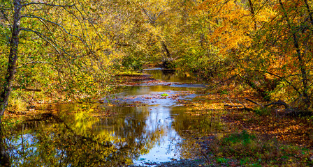 Pennsylvania Rural Landscape With River