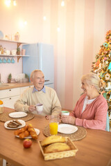 Elderly couple sitting at the table and having breafast