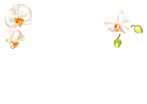 件の最適な 祝白寿 画像 ストック写真 ベクター Adobe Stock