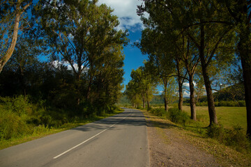 Fototapeta na wymiar country side car road transport route in high trees alley way clear day time of spring season day