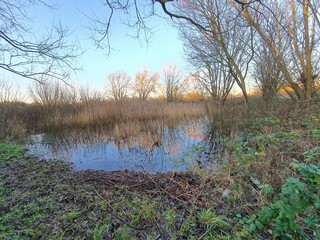 lake in the morning. It's a hike in the woods or a walk in the forest. Reminds me of inspiration from being outdoors in nature. 