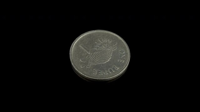 Republic of Seychelles 1995 One Rupee coin macro isolated shot