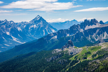 landscape forest in trentino with dolomiti mountain