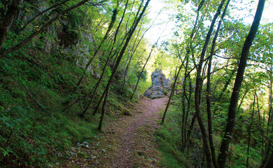 Obraz premium Sentiero 109AG da Poggio San Romualdo a Castelletta nelle Marche in Italia