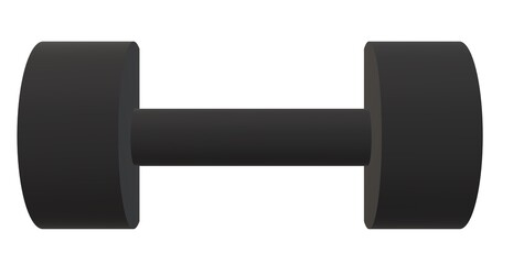 dumbbell isolated on white You can use the icon for many purposes such as: websites, user interface, print templates, promotional materials, infographics, web and mobile applications games or riskin .