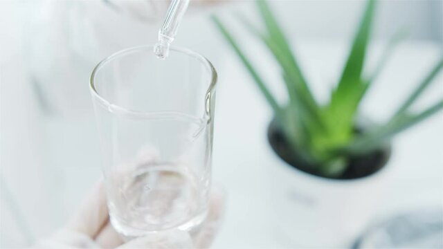 Getting an extract from leaves of aloe vera in laboratory.
Laboratory assistant drops the extract from pipette into glass beaker. Aloe plant in background in laboratory. Anti-aging serum. 