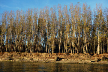 November on the Danube river in Romania