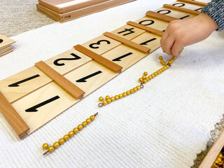 Montessori material Segen wood board # 1 with golden material
