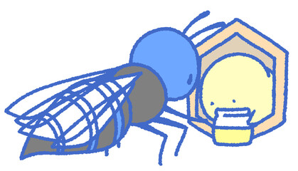 栄養交換をするスズメバチの成虫と幼虫（青色）