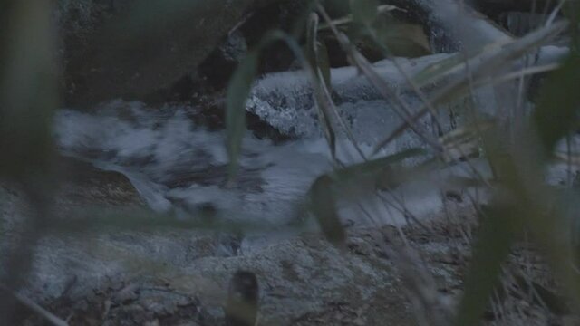 a winter mountain river stream - shot by Lumix GH5