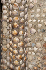 wall covered with seashells