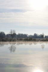 Scenic shot of a lake in winter, above which the haze is slowly rising, with trees in the background