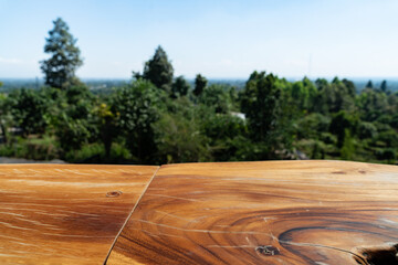 Wood table with forest view
