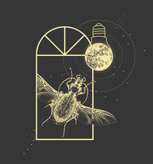 Magic witchcraft window silhouette with ground beetle and full moon like light bulb. Vector illustration