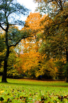 October sunny day in Royal Baths Park, Warsaw © Ambasada Studio