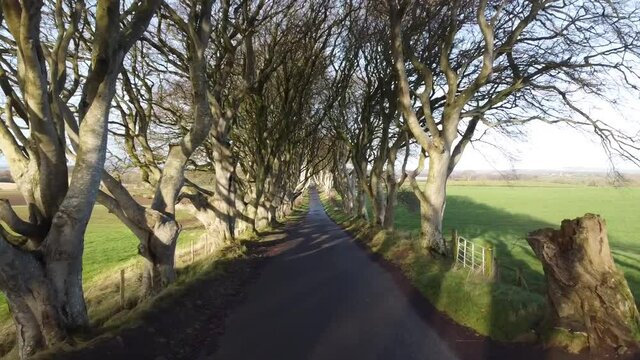 The King's Road (Game of Thrones), The Dark Hedges, Northern Ireland