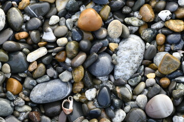 Background from natural gray and colored wet pebbles close-up in natural environment