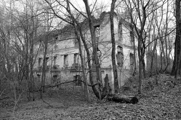 Ruins of old brick building with trees in it. black and white