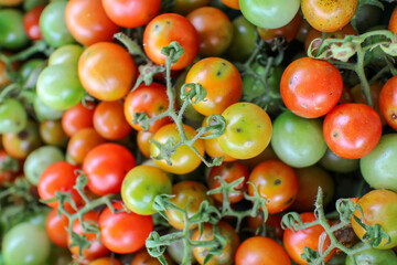 tomatoes and cucumbers