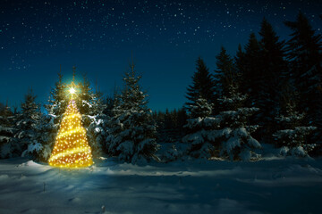 Christmas tree in winter forest and stars sky. Christmas Card.