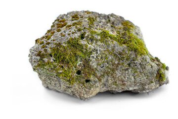 Old stones on a white background overgrown with moss