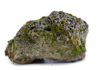 Old stones on a white background overgrown with moss