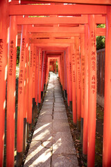 Senbon Torii of Nezu Shrine in Tokyo, Japan
