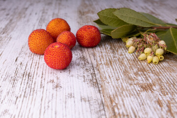 Strawberry tree fruit 