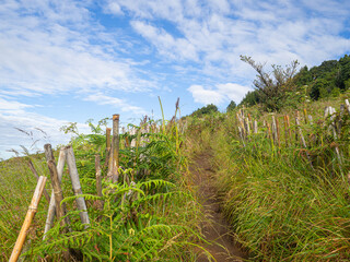 Fototapeta premium Beautiful scenic view of mountains and clouds against the sky in Kew Mae Pan nature trail at Doi Inthanon, Chiang Mai, Thailand. Famous tourist attractions of Thailand. Concept of holiday and travel