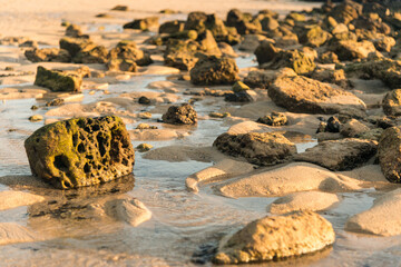 Textures at the beach. A close-up of a seashore with sand textures, pebbles and stones under sunset light.