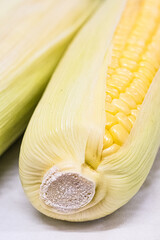 Sweetcorn in the husk being displayed in a village show.