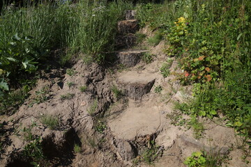 Wooden steps on the ground.Ladder made of cut logs on the sand in the green grass.Stairs in the...