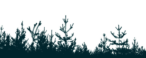 Obraz premium Silhouette of a pine forest and sky. Place for the text.