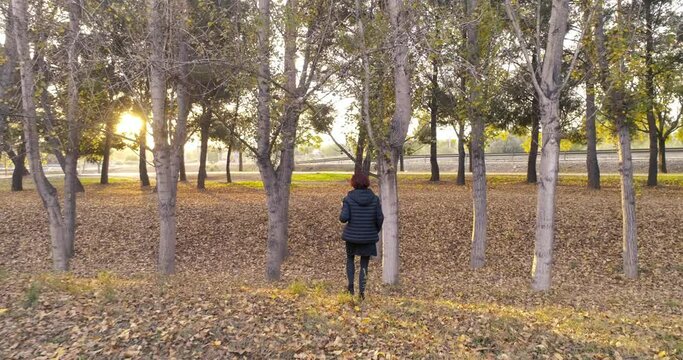 mujer con abrigo negro paseando en bosque en oto&ntilde;o de espalda vista a&eacute;rea de dron