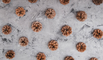 Texture of pine cones on stone background.