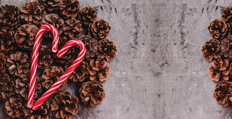 Texture of pine cones on stone background.