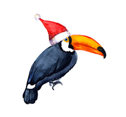 Toucan bird in red santa hat. Unusual card for tropical Christmas. Watercolor card