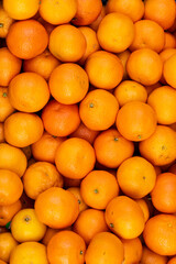 Lots of fresh yellow tangerines. Citrus fruit. Vertical photo.