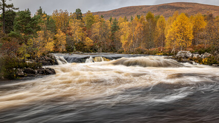 Autumn colours by the river Garbh Uisge in Glen Affric in the Scottish Highlands