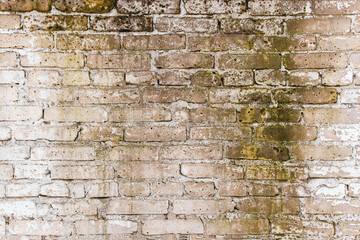 Brick wallpaper, texture. Background for creative design. The weathered white wall is covered with mold.