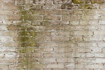 Brick wallpaper, texture. Background for creative design. The white wall is covered with mold....