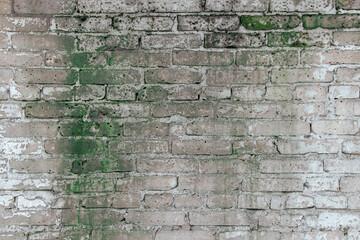 Brick wallpaper, texture. Background for creative design. The white cement is covered with mold. building