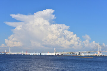 鶴見大橋の上に広がるかなとこ雲