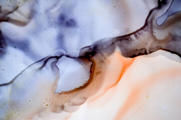 Alcohol Ink Illustration. Wash Art Design. 