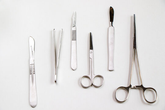 Dissection kit, stainless steel tools for medical students of anatomy, biology and veterinary