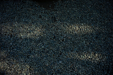 Beautiful Shrine Architecture at Nezu Shrine, Tokyo Japan