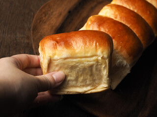 hand holding bread bun