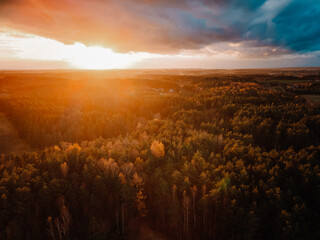 sunset over the forest